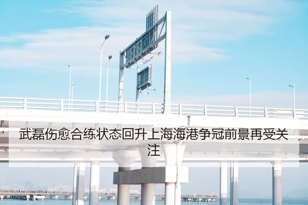 武磊伤愈合练状态回升上海海港争冠前景再受关注