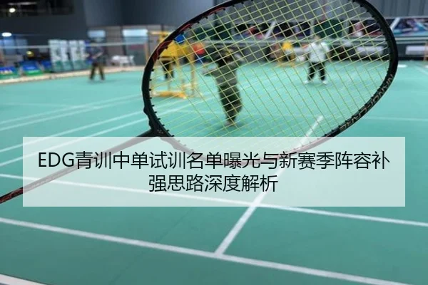 EDG青训中单试训名单曝光与新赛季阵容补强思路深度解析