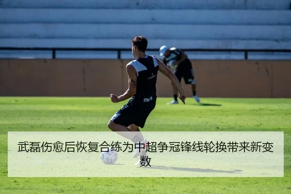 武磊伤愈后恢复合练为中超争冠锋线轮换带来新变数